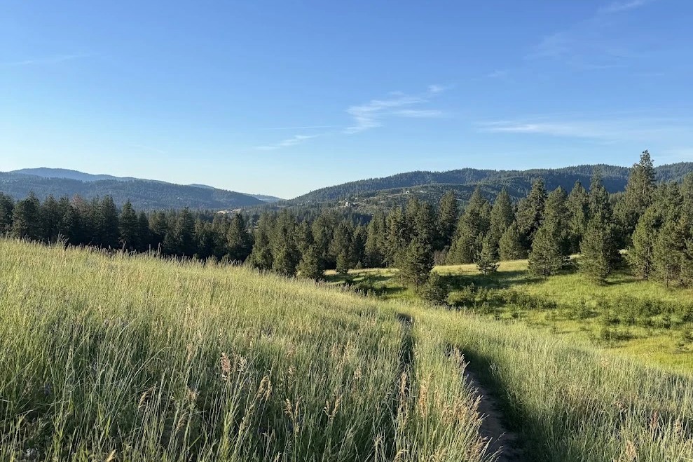 Palouse Highway & Glenrose